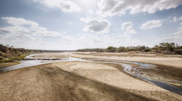 Parco del Grande Limpopo