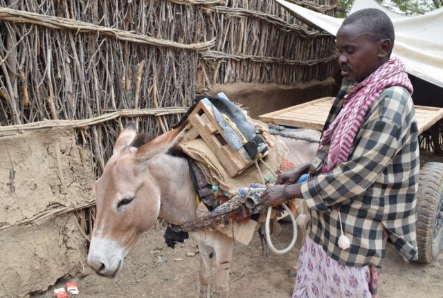 Deeq Sahal è un contadino di etnia Bantu che vive nel villaggio somalo di Garaash, nella regione di Hiran. Lui e la sua famiglia sono stati inseriti nel programma di cash-for-work attivato da Cesvi e dal Consorzio BRCiS.