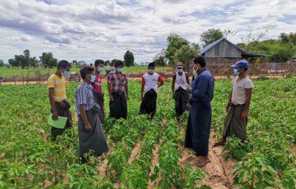 Beneficiaries participating to a training about good agricultural practices.