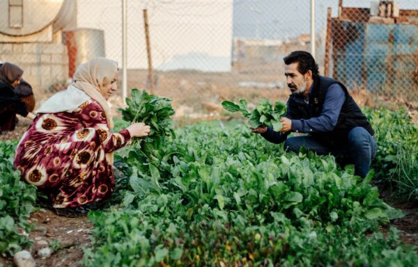 Iraqi Kurdistan