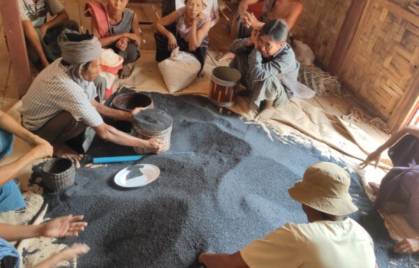 Farmers participating to a training about seeds.