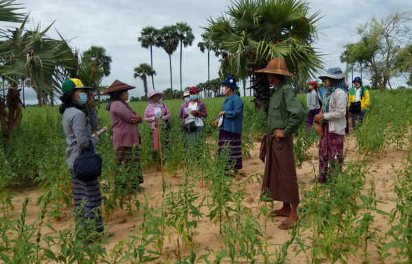 Beneficiaries participating to a training about good agricultural practices.